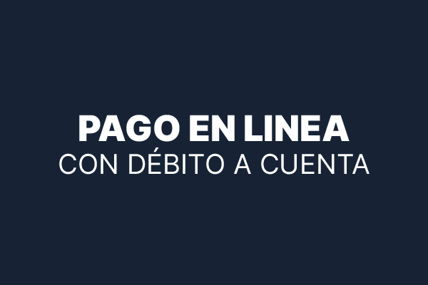 pago en linea
